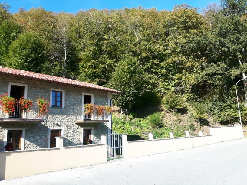 Affittacamere Da Morena Gorfigliano ภายนอก รูปภาพ